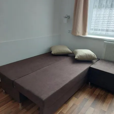 Kopretina *