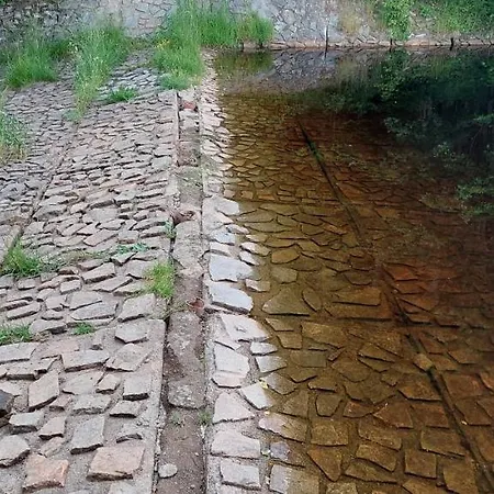 Kopretina