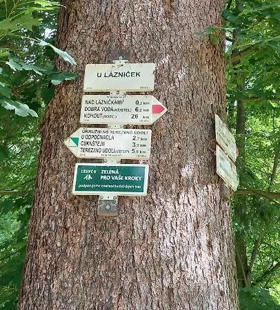 Kopretina