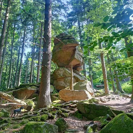 Appartement Kopretina