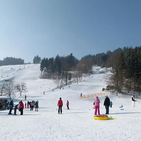 Kopretina * Cerne Udoli