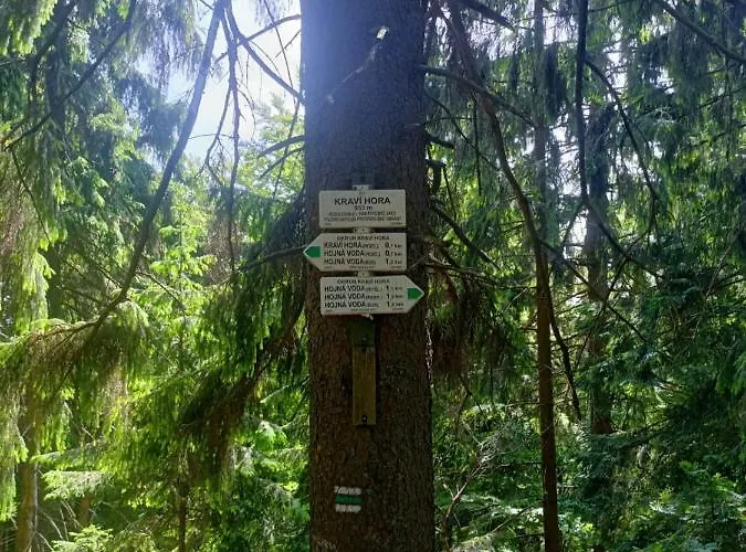 Kopretina * Cerne Udoli