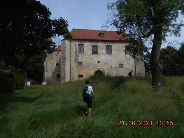 Kopretina *