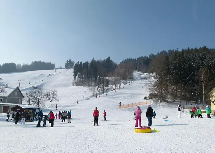 Kopretina * Cerne Udoli